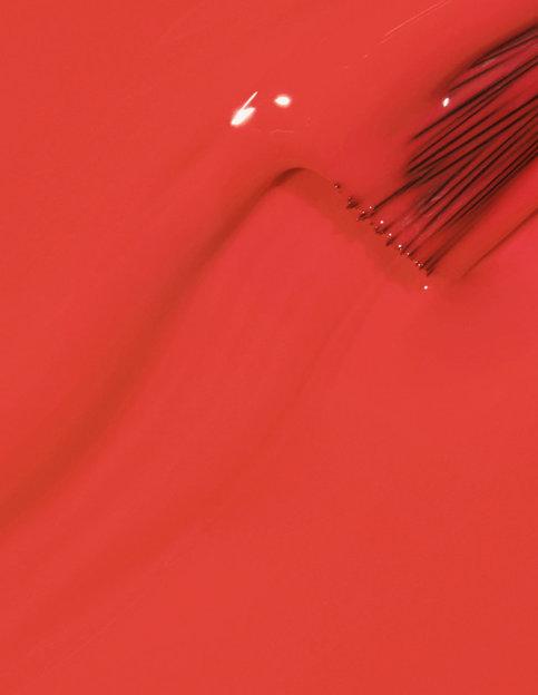 NL  My Chihuahua doesnt bite anymore