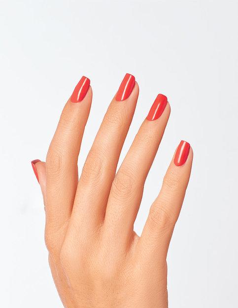 NL  My Chihuahua doesnt bite anymore