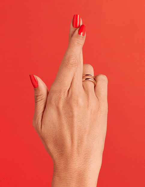 NL  My Chihuahua doesnt bite anymore